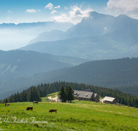 fileadmin/roha/images_galerie/orte_landschaft/Stoisser-Alm/TEI-STO-KUH-0027-D-roha-Teisendorf-Anger-Stoisser-Alm-Kuh-Untersberg-Hochstaufen.png