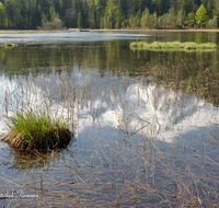 fileadmin/roha/images_galerie/orte_landschaft/Berchtesgaden/Ramsau/BGD-RA-TAUB-0013-D-roha-Berchtesgaden-Ramsau-Taubensee-Hochkalter_01.png