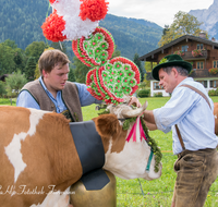 fileadmin/roha/images_galerie/brauchtum/Almabtrieb/Almabtrieb-Koenigssee/BR-ALMAB-BGD-2015-1239-01-D-roha-Brauchtum-Almabtrieb-Koenigssee-Salet-Schoenau-Fuikl-Kuh-Glocke.png