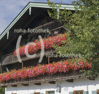 fileadmin/roha/images_galerie/orte_landschaft/Kirchanschoering/KIRCH-RATH-0005-D-roha-Kirchanschoering-Rathaus-Blumenschmuck.jpg