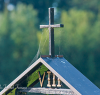 fileadmin/roha/images_galerie/kirche_religion/Ainring-Kreuzweg/KKKM-AINR-KR-DET-0004-3-D-roha-Kreuzweg-Ainring-Kreuz-Schmiedeeisen-Ziffer-Spinnweben.png