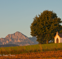 fileadmin/roha/images_galerie/kirche_religion/Saaldorf/KKKM-SAALD-SILL-0013-D-roha-Kapelle-Saaldorf-Sillersdorf-Hochstaufen-Acker-Getreidefeld-Ernte-Sonnenaufgang.png