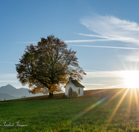 fileadmin/roha/images_galerie/kirche_religion/Saaldorf/KKKM-SAALD-SILL-0030-D-roha-Kapelle-Saaldorf-Sillersdorf-Sonne.png