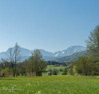 fileadmin/roha/images_galerie/orte_landschaft/Teisendorf/IN-LANDS-Teisendorf/LANDS-TEIS-ALM-0033-D-roha-Landschaft-Teisendorf-Bauernhof-Almeding-Hochstaufen-Zwiesel.png