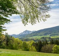 fileadmin/roha/images_galerie/orte_landschaft/Teisendorf/IN-LANDS-Teisendorf/LANDS-TEIS-SCHELMB-0003-D-roha-Landschaft-Teisendorf-Schelmberg-Hochstaufen-Teisenberg_01.png