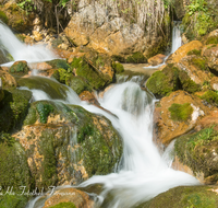 fileadmin/roha/images_galerie/wasser/WAS-WILDB-KIRCH-TAL-0001-D-roha-Wasser-Wildbach-Kirchental-St-Martin-b-Lofer.png