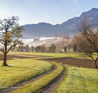 fileadmin/roha/images_galerie/orte_landschaft/Anger/Anger/Anger-Stimmung/AN-0043-D-roha-Anger-Hochstaufen-Herbst-Kirche-Weg.png