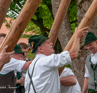 fileadmin/roha/images_galerie/brauchtum/Maibaum/Aufham/BR-MAIB-AUF-2018-1414-02-D-roha-Brauchtum-Maibaum-Anger-Aufham-Aufstellen.png