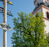 fileadmin/roha/images_galerie/brauchtum/Maibaum/Weildorf/BR-MAIB-WEIL-01-0004-D-roha-Brauchtum-Maibaum-Weildorf-Kirche-Zwiebelturm.png