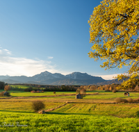 fileadmin/roha/images_galerie/orte_landschaft/Haarmoos/HAARM-0004-1-11-D-roha-Haarmoos-Hochstaufen-Zwiesel-Stadel-Herbst.png