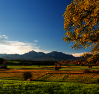 fileadmin/roha/images_galerie/orte_landschaft/Haarmoos/HAARM-0004-1-11-D-roha-Haarmoos-Hochstaufen-Zwiesel-Stadel-Herbst.png