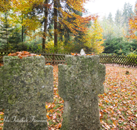 fileadmin/roha/images_galerie/kirche_religion/Laufen_-_Leobendorf/KKKM-LAUF-LEOB-UKR-0010-D-roha-Friedhof-Laufen-Leobendorf-Ukrainer-Kreuz-Gedenktafel-Herbst-Wald.png