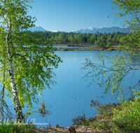 fileadmin/roha/images_galerie/orte_landschaft/Petting/Schoenramer-Moor/PE-SCHOENR-MOOR-0045-0-09-roha-Petting-Schoenramer-Moor-Moorsee-Untersberg-Lattengebirge.png