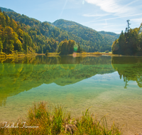 fileadmin/roha/images_galerie/wasser/REIT-IM-WI-WEITS-0012-D-roha-Reit-im-winkl-Weitsee-Herbst-Wasser-See.png