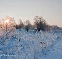 fileadmin/roha/images_galerie/orte_landschaft/Teisendorf/STIM-TEI-KARL-WI-0007-D-roha-Stimmung-Winter-Sonne-Teisendorf-Karlsbach-Schnee.png