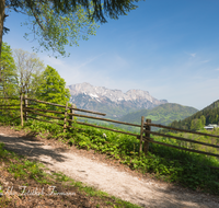 fileadmin/roha/images_galerie/wege/WEGE-BGD-SCHOE-BRA-0001-D-roha-Weg-Brandkopf-Berchtesgaden-Schoenau-Untersberg-Zaun.png