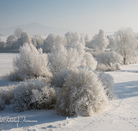 fileadmin/roha/images_galerie/Winter/WINT-HAARM-0011-D-roha-Winter-Haarmoos-Schnee-Rauhreif-Nebel-Haunsberg.png