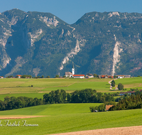 fileadmin/roha/images_galerie/orte_landschaft/Ainring/AINR-UL-0003-3-D-roha-Ulrichshoegl-Ainring-Untersberg-Getreide-Feld.png