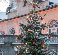 fileadmin/roha/images_galerie/orte_landschaft/Bad-Reich-Kurgarten-Beleuchtung/BAD-REI-KURGAR-WI-0017-06-D-roha-Bad-Reichenhall-Kurgarten-Kurhaus-Winter-Christbaum.png