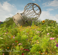 fileadmin/roha/images_galerie/orte_landschaft/Bad_Reichenhall/BAD-REI-SALZSTR-0002-D-roha-Bad-Reichenhall-Salzstreuer-Blumenwiese-Kreisverkehr.png