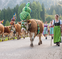 fileadmin/roha/images_galerie/brauchtum/Almabtrieb/Almabtrieb-Wasserfallalm/BR-ALMAB-BGD-OB-SLUZ-00131-D-roha-Almabtrieb-Berchtesgaden-Wasserfallalm-Obersulzberglehen-Fuikl-Senner-Sennerin.png