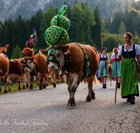 fileadmin/roha/images_galerie/brauchtum/Almabtrieb/Almabtrieb-Wasserfallalm/BR-ALMAB-BGD-OB-SLUZ-00131-D-roha-Almabtrieb-Berchtesgaden-Wasserfallalm-Obersulzberglehen-Fuikl-Senner-Sennerin.png