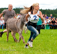 fileadmin/roha/images_galerie/brauchtum/Leonhardiritt/Holzhausen_01/Eselrennen/BR-PFRI-HOLZ-ESELR-0011-D-roha-Brauchtum-Holzhausen-Esel-Rennen.png