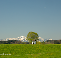 fileadmin/roha/images_galerie/kirche_religion/Petting/KKKM-PETT-0010-D-roha-Kapelle-Petting-Blumenwiese-Chiemgauer-Berge-Fruehling.png