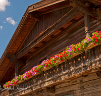 fileadmin/roha/images_galerie/Architektur-Bundwerk/LANDA-BLUMENSCHM-OBERTD-0009-1-D-roha-Landart-Blumenschmuck-Bauernhaus-Oberteisendorf-Geranien.png