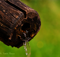 fileadmin/roha/images_galerie/Wasser-Brunnen/LANDA-BRUN-GROSSG-0005-D-roha-Landart-Brunnen-Grossgmain-Wasser.png