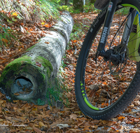 fileadmin/roha/images_galerie/Freizeit-Sport/E-Bike/SPO-E-BIKE-SCHN-WEISS-SOL-0006-D-roha-Sport-E-Bike-Schneizlreuth-Weissbach-Soleleitung-Weg.png