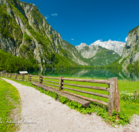 fileadmin/roha/reportagen/Koenigssee-Schifffahrt/BGD-KOE-OBERS-0026-D-roha-Berchtesgaden-Obersee-Koenigssee-Wasser-Wander-Weg-Zaun.png