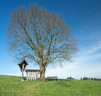 fileadmin/roha/images_galerie/kirche_religion/Teisendorf/Freidling-Berg-Stoisseralm/KKKM-TEIS-BERG-0019-01-D-roha-Weg-Kreuz-Teisendorf-Brunnmeister-Bank-Baum-Totenbretter.png