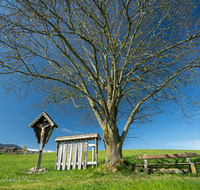 fileadmin/roha/images_galerie/kirche_religion/Teisendorf/Freidling-Berg-Stoisseralm/KKKM-TEIS-BERG-0019-05-D-roha-Weg-Kreuz-Teisendorf-Brunnmeister-Bank-Baum-Totenbretter.png