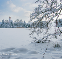 fileadmin/roha/images_galerie/orte_landschaft/Anger/Hoeglwoerth/AN-HOE-WIN-0063-01-D-roha-Anger-Hoeglwoerth-Winter-See-Schnee.png