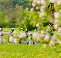 fileadmin/roha/images_galerie/brauchtum/Tracht/Trachtenwallfahrt_Raiten/BR-TRACH-WALL-RAI-0026-D-roha-Tracht-Trachtenwallfahrt-Raiten-Chiemgau-Alpenverband-Blumenwiese.png