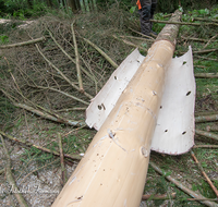 fileadmin/roha/images_galerie/Landwirtschaft/Forst-Holzknecht/HOLZKNE-0004-2018-1357-01-D-roha-Holzknecht-Teisenberg-Baum-Fichte-Schimpern-entrinden.png