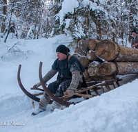 fileadmin/roha/images_galerie/Landwirtschaft/Forst-Holzknecht/HOLZKNE-HAM-0015-1429-1665-D-roha-Holzknecht-Schlitten-Winter-Siegsdorf-Hammer-Winterzug.png