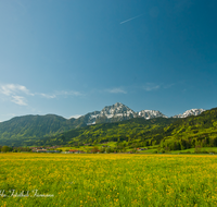 fileadmin/roha/images_galerie/orte_landschaft/Anger/Anger/Anger-Landschaft/LANDS-ANG-AUFH-0007-D-roha-Landschaft-Anger-Aufham-Fuderheuberg-Hochstaufen-Zwiesel-Blumenwiese.png