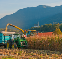 fileadmin/roha/images_galerie/Landwirtschaft/LANDW-MASCH-MAIS-AN-0001-D-roha-Landwirtschaft-Maschine-Mais-Ernte-Anger.png