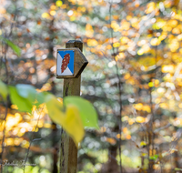 fileadmin/roha/images_galerie/orte_landschaft/Laufen/Osinger-Wald/LAUF-OSI-WA-0001-1130-D-roha-Laufen-Osinger-Wald-Herbst-Schild.png