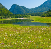 fileadmin/roha/images_galerie/orte_landschaft/Ruhpolding/RUH-LOED-0011-D-roha-Ruhpolding-Loedensee-Blumenwiese.png