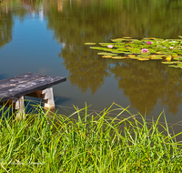 fileadmin/roha/images_galerie/wasser/WAS-WEIH-TEIS-0001-D-roha-Wasser-Teisendorf-Pfarrerweiher-Steg-Seerosen.png