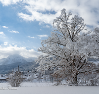 fileadmin/roha/images_galerie/orte_landschaft/Anger/Anger/AN-WI-0004-04-D-roha-Anger-Hochstaufen-Winter-Dorf-Schnee-Baum.png