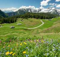 fileadmin/roha/images_galerie/orte_landschaft/Kallbrunn-Alm/KALLB-ALM-0029-D-roha-Kallbrunn-Alm-Gebirge-Schnee-Blumenwiese.png