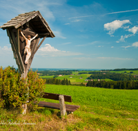 fileadmin/roha/images_galerie/kirche_religion/Neukirchen/KKKM-NEUK-SCHWARZ-0007-D-roha-Wegkreuz-Neukirchen-Schwarzenberg-Herbst.png