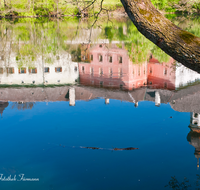 fileadmin/roha/images_galerie/orte_landschaft/Anger/Hoeglwoerth/AN-HOE-FRUEH-0002-D-roha-Anger-Hoeglwoerth-Fruehling-Baum-Spiegelung-Ast-See.png