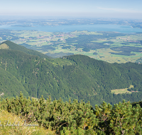 fileadmin/roha/images_galerie/orte_landschaft/Bergen/BERG-HOCHF-0004-0-2-D-roha-Bergen-Hochfelln-Gipfel-Panorama-Chiemsee.png