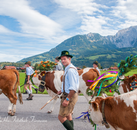 fileadmin/roha/images_galerie/brauchtum/Almabtrieb/Almabtrieb-Koenigssee/BR-ALMAB-BGD-2015-1230-01-D-roha-Brauchtum-Almabtrieb-Koenigssee-Salet-Schoenau-Fuikl-Kuh-Glocke.png