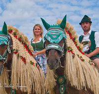 fileadmin/roha/images_galerie/brauchtum/Leonhardiritt/Holzhausen_01/BR-PFRI-HOLZ-0118-D-roha-Brauchtum-Pferdeumritt-Holzhausen-Teisendorf-Leonhardiritt-Pferd-Reiter-Reiterin-Peruecke.png